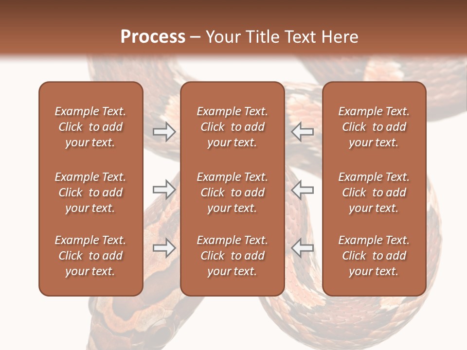 Red Rat Snake Isolated Slither PowerPoint Template