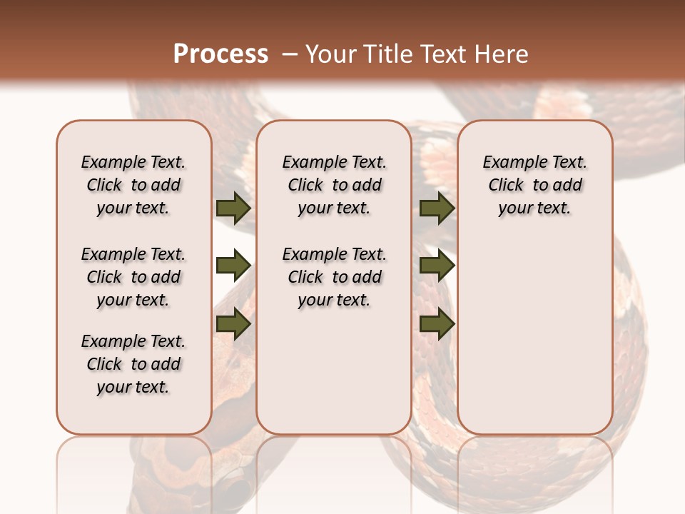 Red Rat Snake Isolated Slither PowerPoint Template