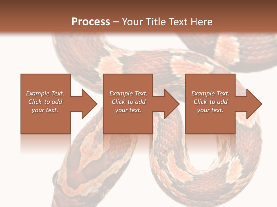 Red Rat Snake Isolated Slither PowerPoint Template