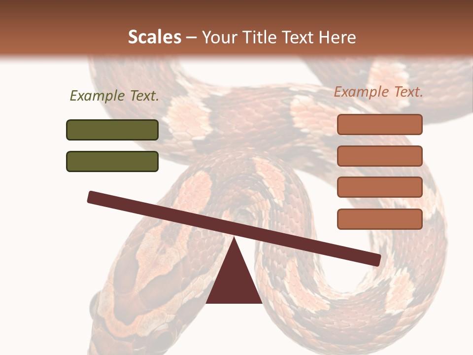 Red Rat Snake Isolated Slither PowerPoint Template