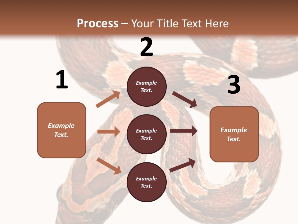 Red Rat Snake Isolated Slither PowerPoint Template