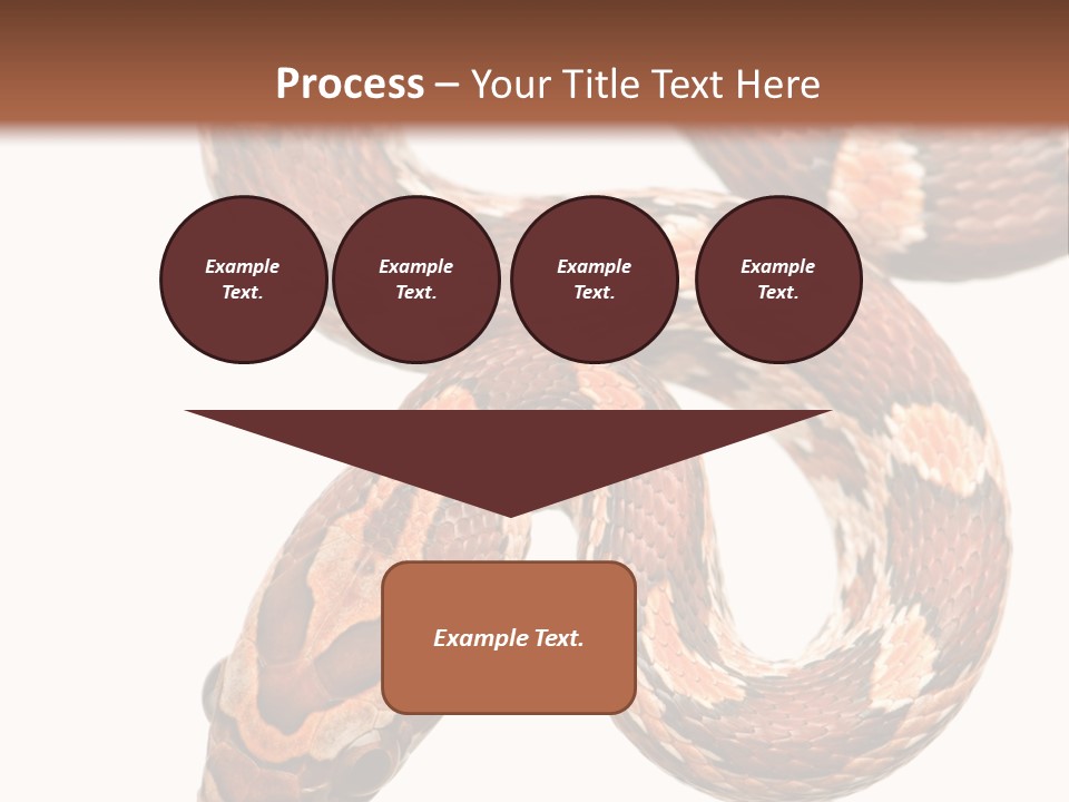 Red Rat Snake Isolated Slither PowerPoint Template