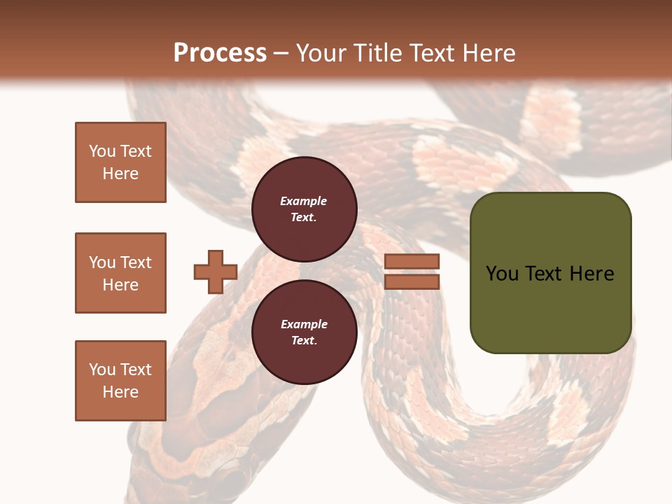 Red Rat Snake Isolated Slither PowerPoint Template