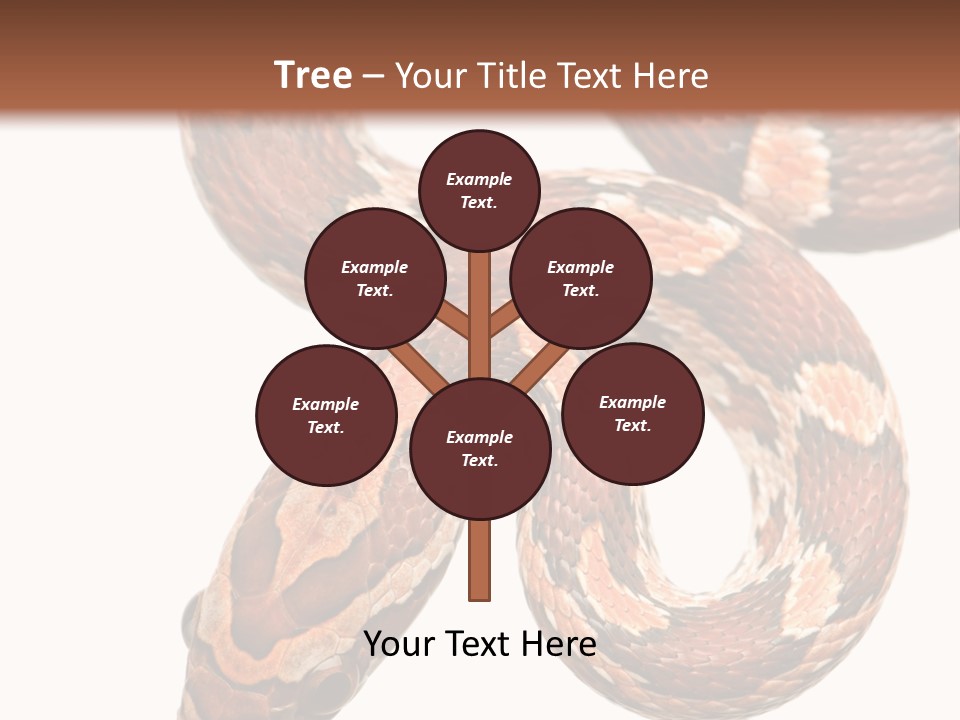 Red Rat Snake Isolated Slither PowerPoint Template