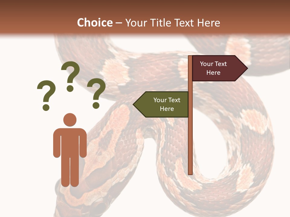 Red Rat Snake Isolated Slither PowerPoint Template