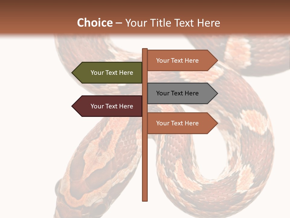 Red Rat Snake Isolated Slither PowerPoint Template