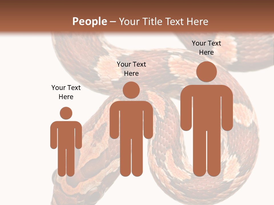 Red Rat Snake Isolated Slither PowerPoint Template