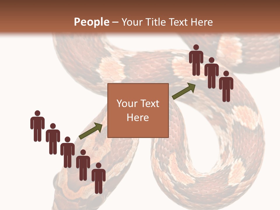 Red Rat Snake Isolated Slither PowerPoint Template