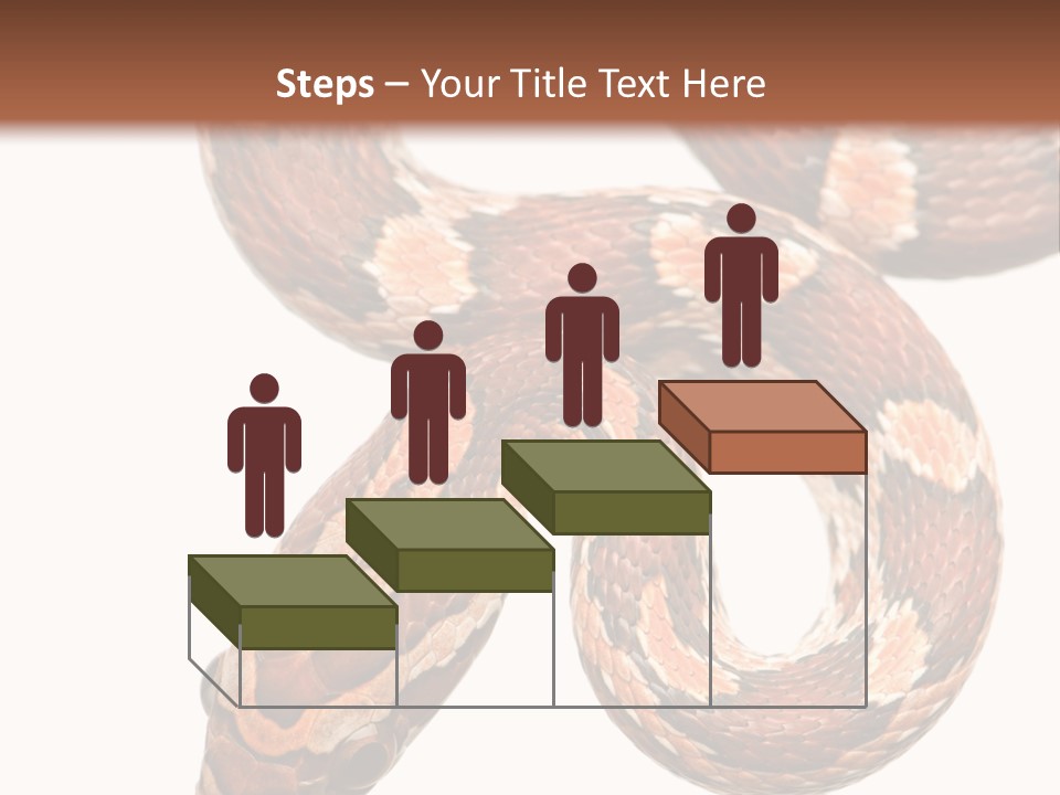 Red Rat Snake Isolated Slither PowerPoint Template