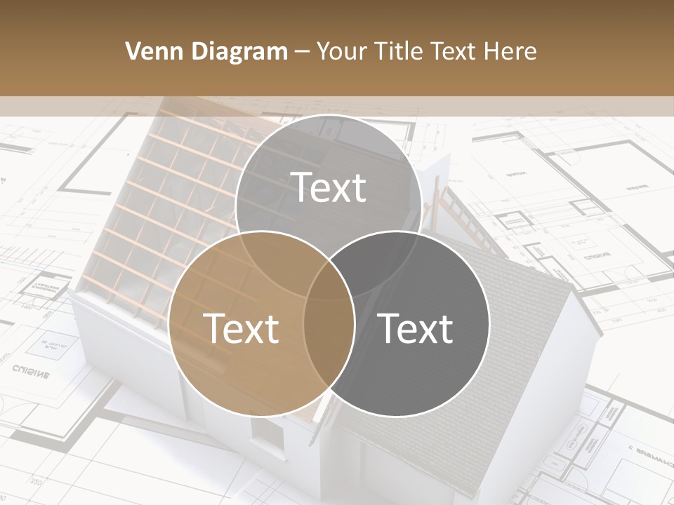 Map Study Flat PowerPoint Template