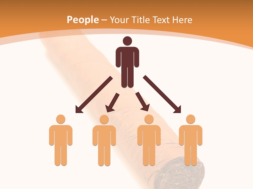 Import Havana Detail PowerPoint Template