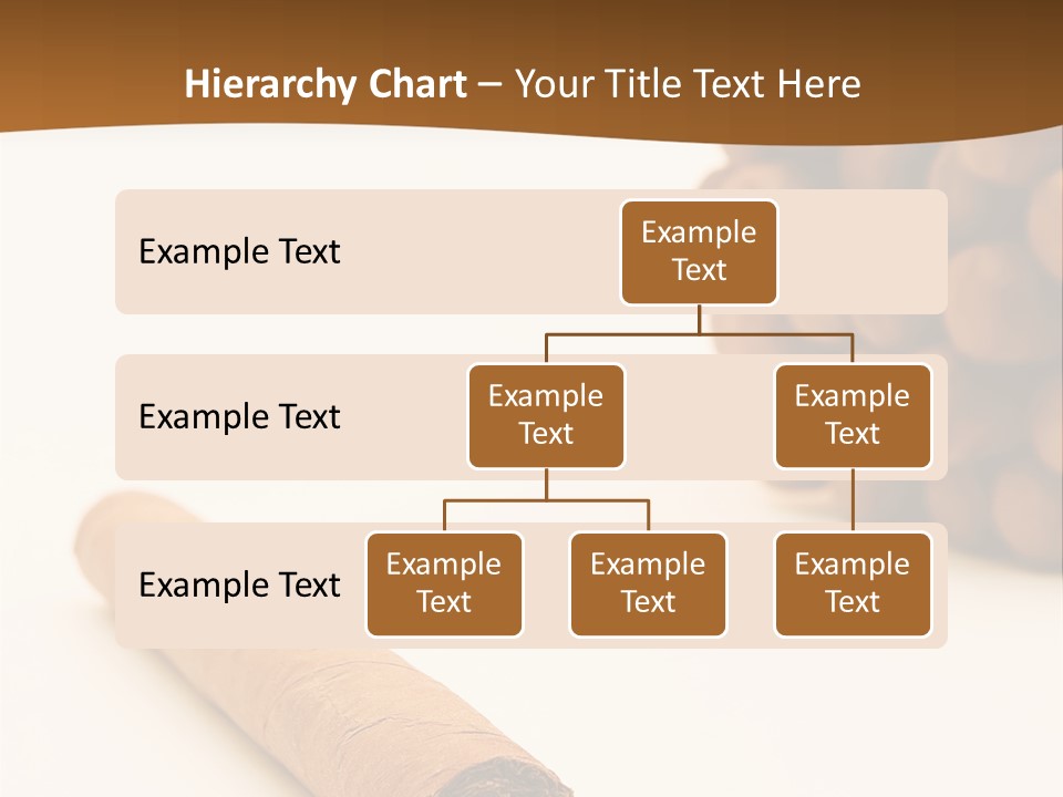 Noble Bad Cancer PowerPoint Template