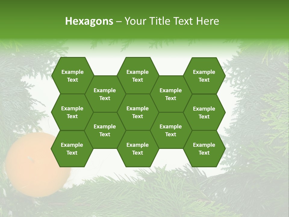 Needle Pine Frame PowerPoint Template