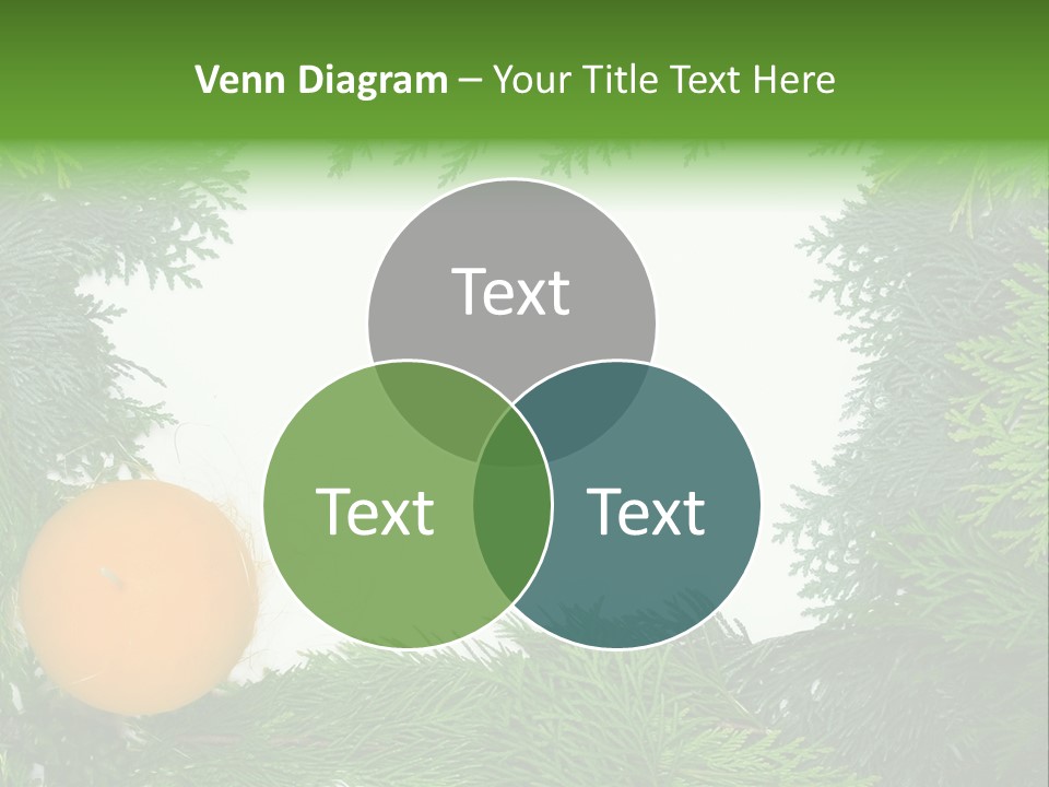 Needle Pine Frame PowerPoint Template