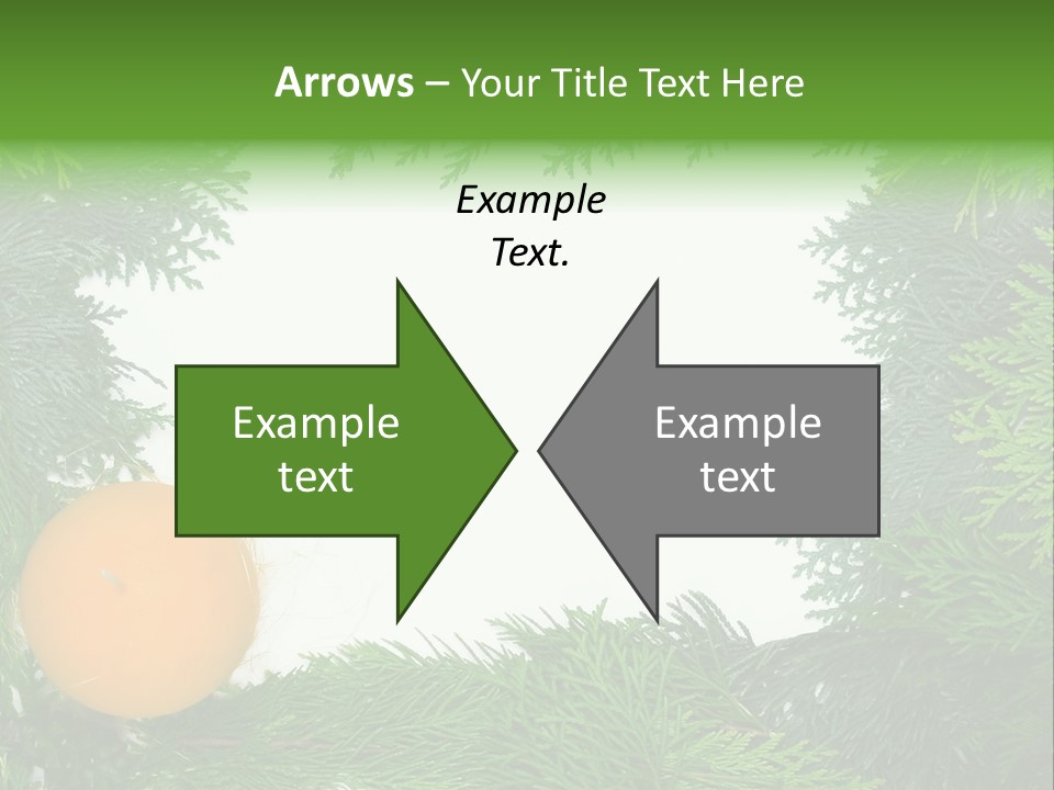 Needle Pine Frame PowerPoint Template