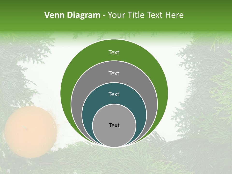 Needle Pine Frame PowerPoint Template