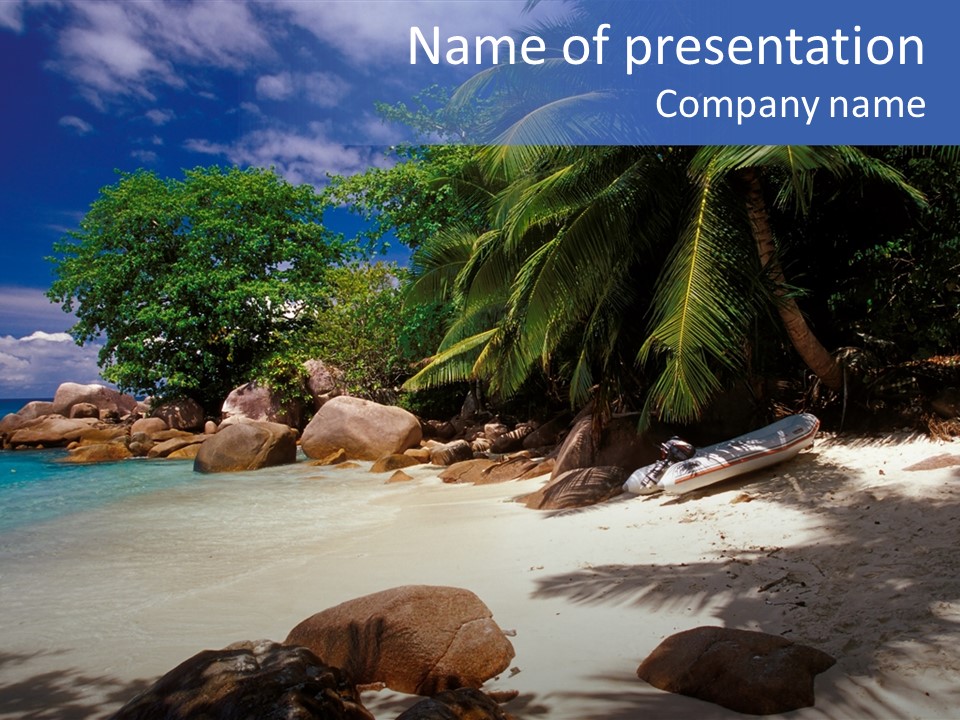 Tropics Palm Beach PowerPoint Template