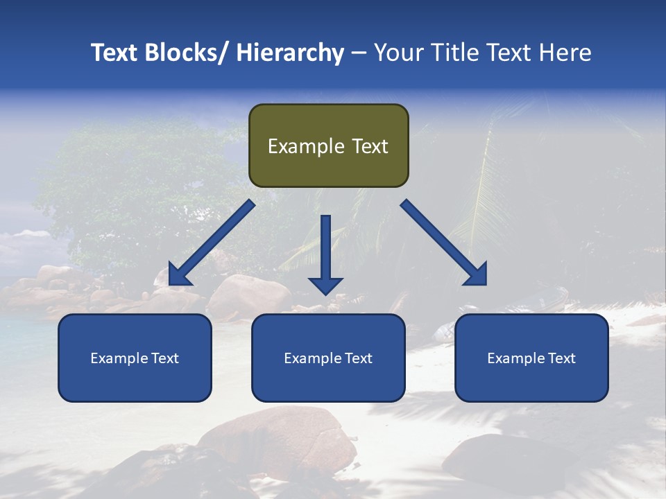 Tropics Palm Beach PowerPoint Template