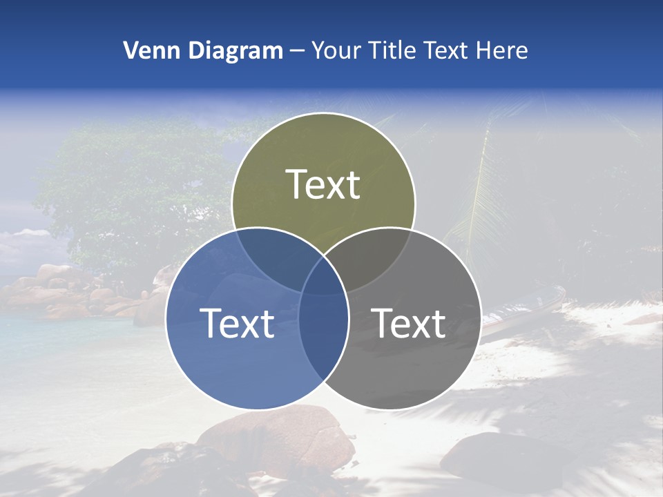 Tropics Palm Beach PowerPoint Template