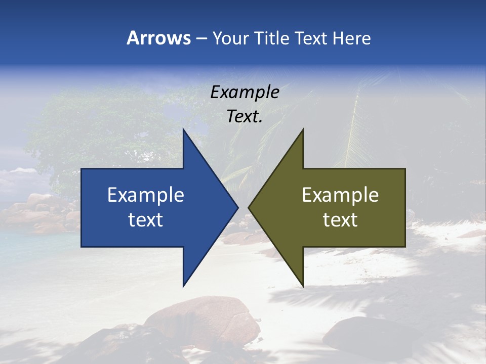 Tropics Palm Beach PowerPoint Template