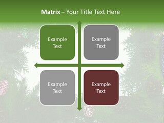 Framing Needle Winter PowerPoint Template