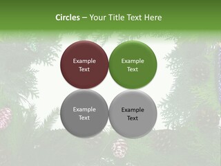 Framing Needle Winter PowerPoint Template