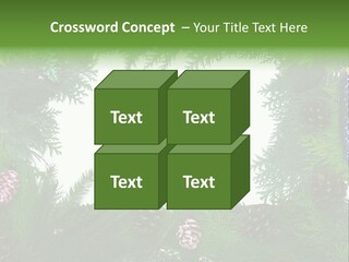 Framing Needle Winter PowerPoint Template
