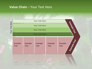 Framing Needle Winter PowerPoint Template