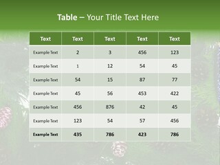 Framing Needle Winter PowerPoint Template