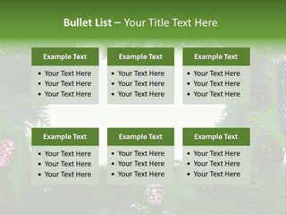 Framing Needle Winter PowerPoint Template