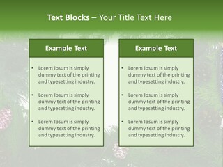 Framing Needle Winter PowerPoint Template