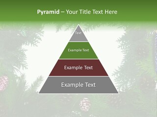 Framing Needle Winter PowerPoint Template