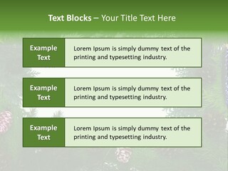 Framing Needle Winter PowerPoint Template