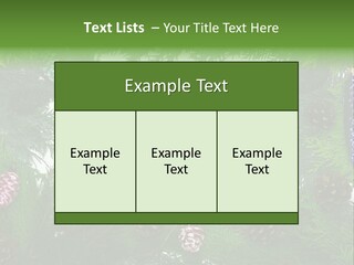 Framing Needle Winter PowerPoint Template