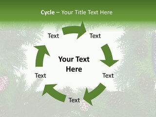 Framing Needle Winter PowerPoint Template