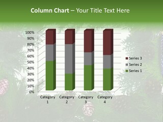 Framing Needle Winter PowerPoint Template