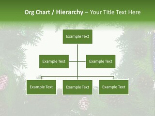 Framing Needle Winter PowerPoint Template