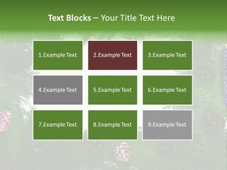 Framing Needle Winter PowerPoint Template