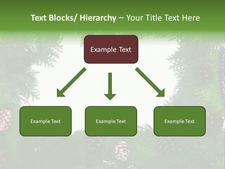 Framing Needle Winter PowerPoint Template