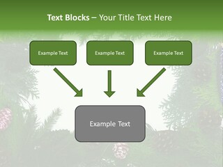 Framing Needle Winter PowerPoint Template