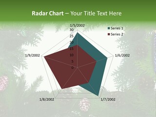 Framing Needle Winter PowerPoint Template
