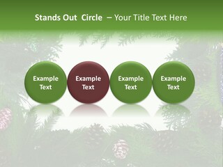 Framing Needle Winter PowerPoint Template