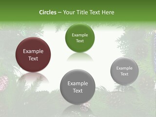 Framing Needle Winter PowerPoint Template