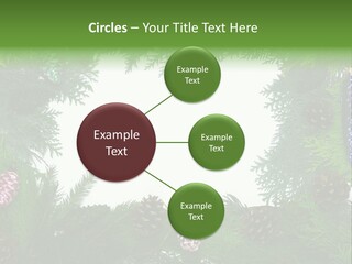 Framing Needle Winter PowerPoint Template