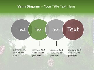 Framing Needle Winter PowerPoint Template