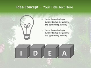 Framing Needle Winter PowerPoint Template