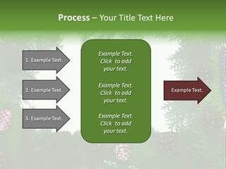 Framing Needle Winter PowerPoint Template