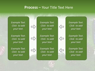 Framing Needle Winter PowerPoint Template