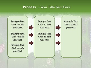Framing Needle Winter PowerPoint Template