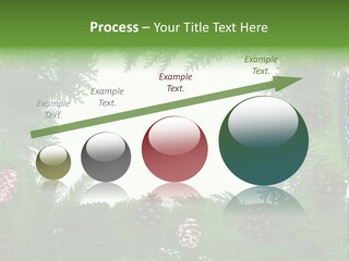 Framing Needle Winter PowerPoint Template